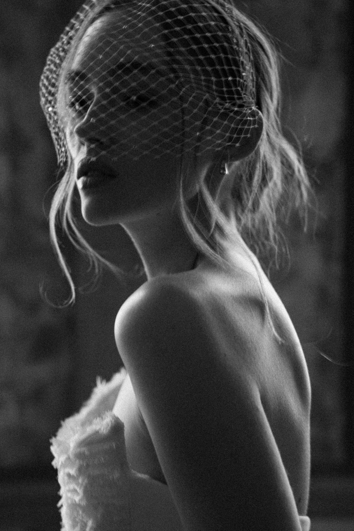 N20 - CAGE WITH SPARKLES VEIL