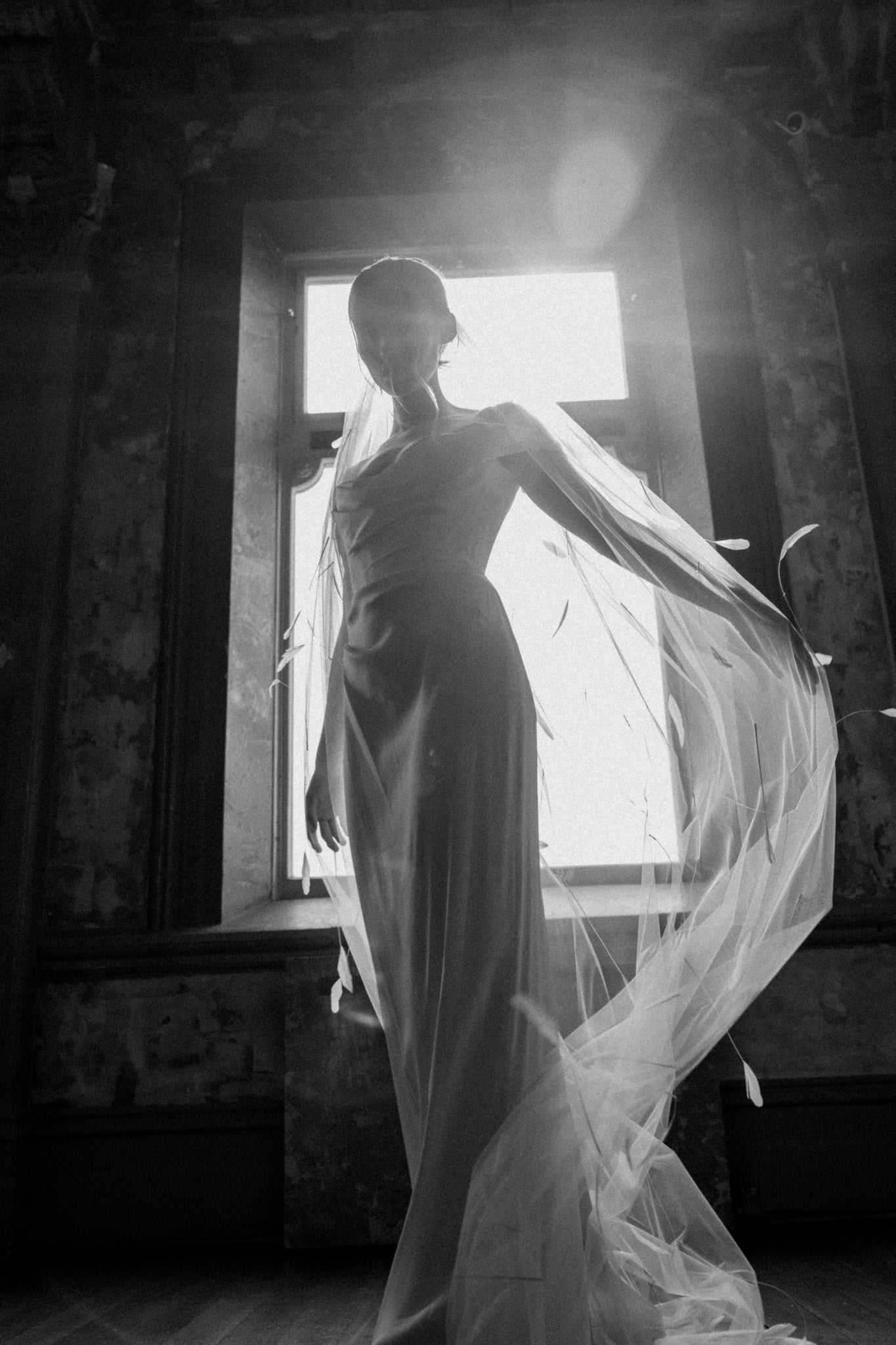 N16 - FEATHER VEIL NOUVEAU