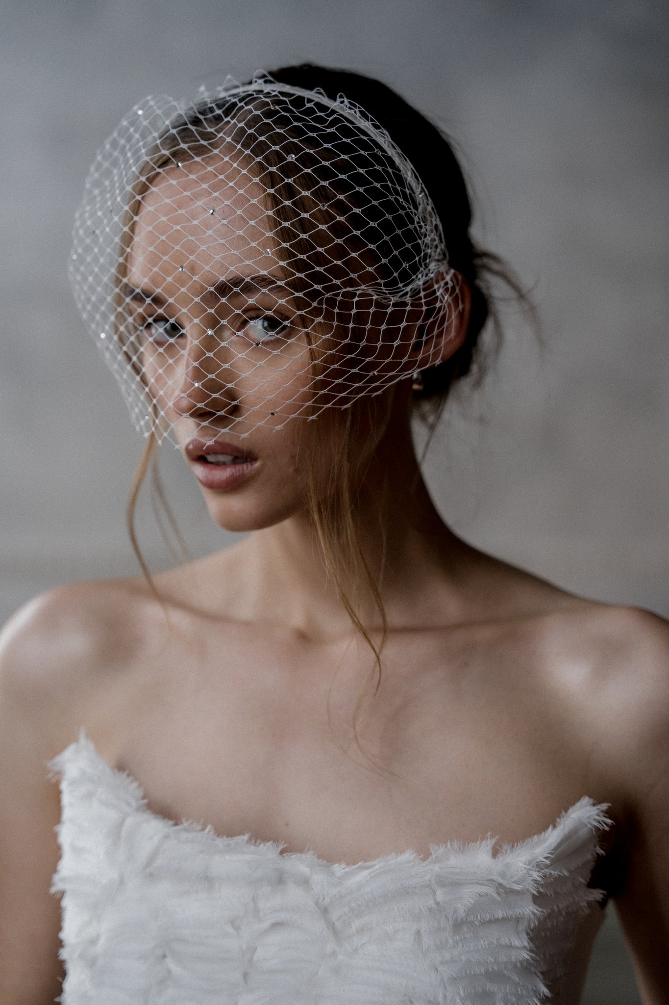N20 - CAGE WITH SPARKLES VEIL