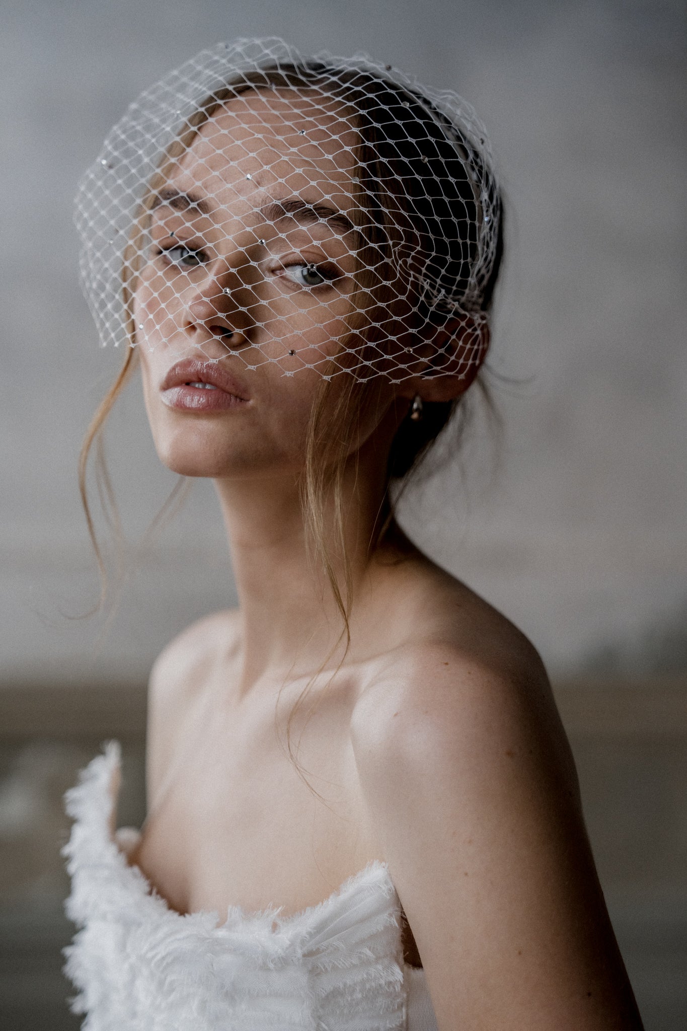 N20 - CAGE WITH SPARKLES VEIL