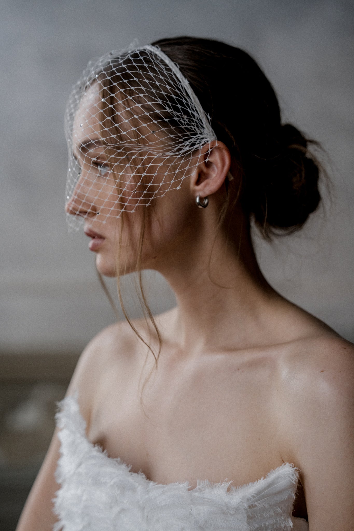 N20 - CAGE WITH SPARKLES VEIL
